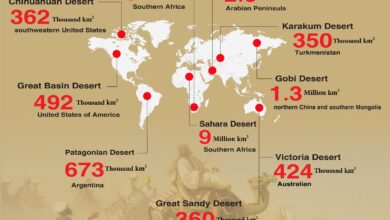 Photo of Top 10 Largest Desert in the World by Area